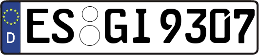 ES-GI9307