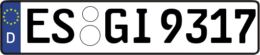ES-GI9317