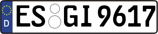 ES-GI9617