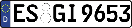 ES-GI9653