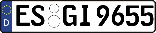 ES-GI9655