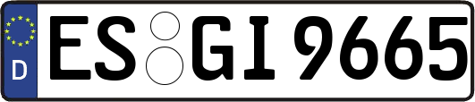 ES-GI9665
