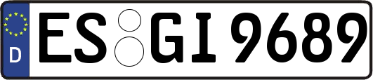 ES-GI9689