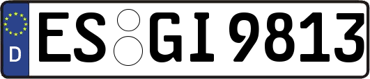 ES-GI9813