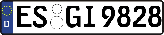 ES-GI9828