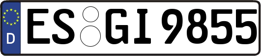 ES-GI9855