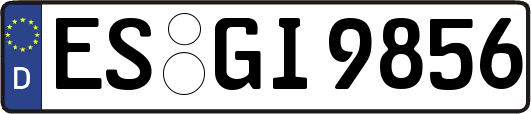 ES-GI9856