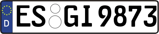 ES-GI9873