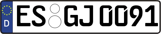ES-GJ0091
