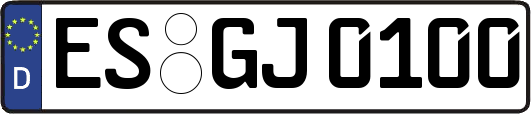 ES-GJ0100