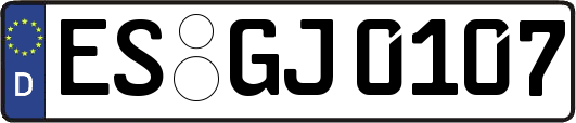 ES-GJ0107