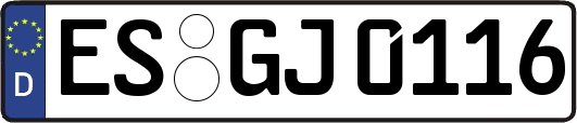 ES-GJ0116