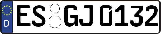 ES-GJ0132