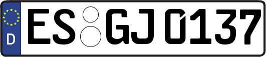 ES-GJ0137