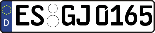 ES-GJ0165