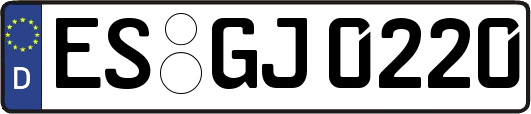 ES-GJ0220