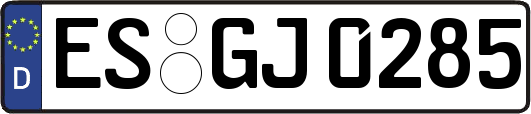ES-GJ0285