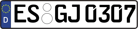 ES-GJ0307