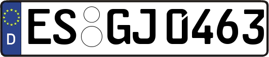 ES-GJ0463