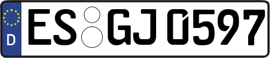 ES-GJ0597