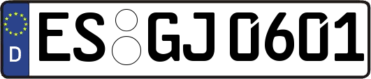 ES-GJ0601