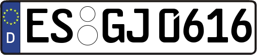ES-GJ0616