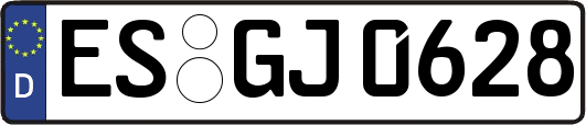 ES-GJ0628