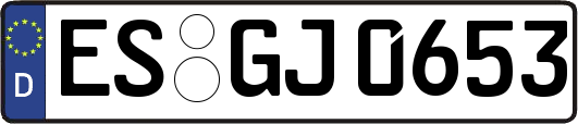 ES-GJ0653