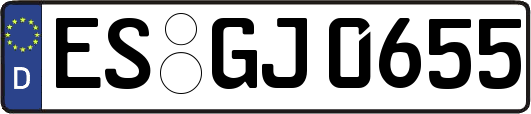 ES-GJ0655