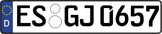 ES-GJ0657
