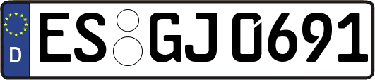 ES-GJ0691