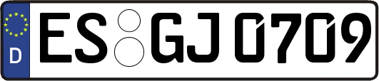 ES-GJ0709