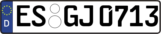 ES-GJ0713