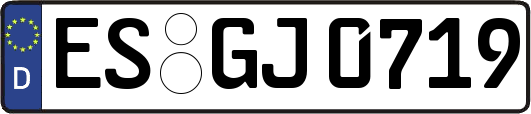 ES-GJ0719