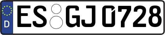 ES-GJ0728