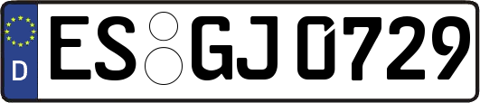 ES-GJ0729