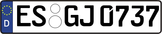 ES-GJ0737