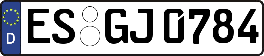 ES-GJ0784
