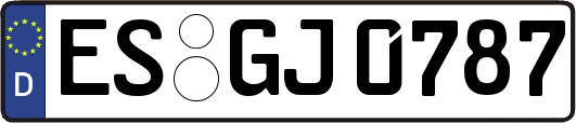 ES-GJ0787