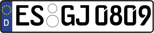 ES-GJ0809