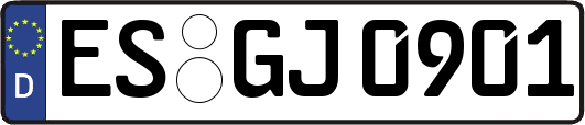 ES-GJ0901