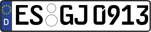 ES-GJ0913