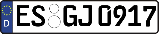 ES-GJ0917