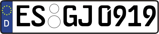 ES-GJ0919