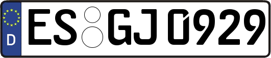 ES-GJ0929