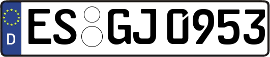 ES-GJ0953