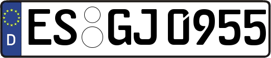 ES-GJ0955