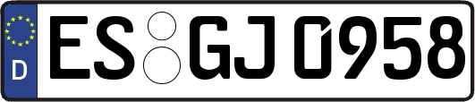 ES-GJ0958