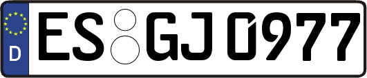 ES-GJ0977