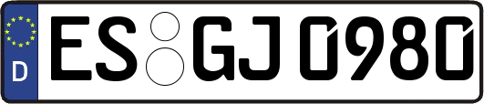 ES-GJ0980
